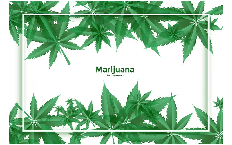 medical marijuana card virginia
