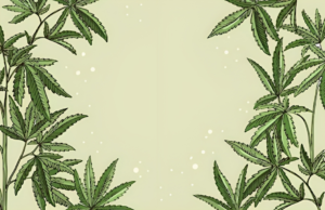 Cannabis Card Cape Coral