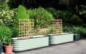 raised garden boxes