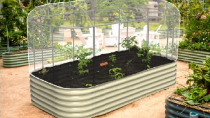 Seeds To Success Shop The Best Raised Beds For Sale