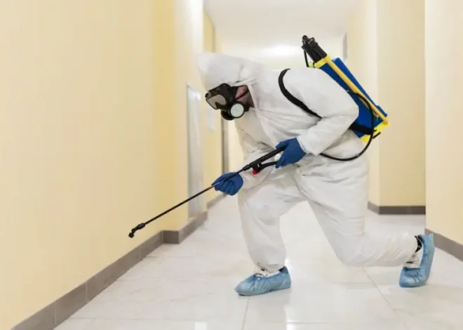 How Much Does A Cockroach Exterminator Cost?