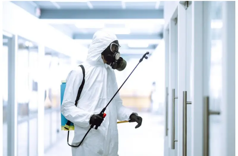cockroach exterminator in Toronto