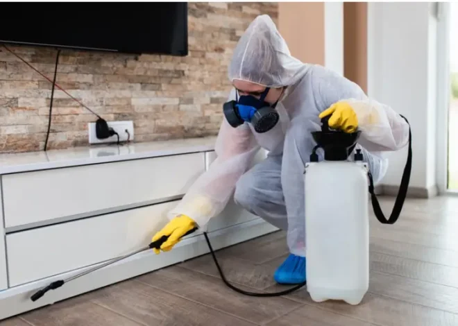 How Bedbug Exterminators Eradicate Pesky Insects Effectively?