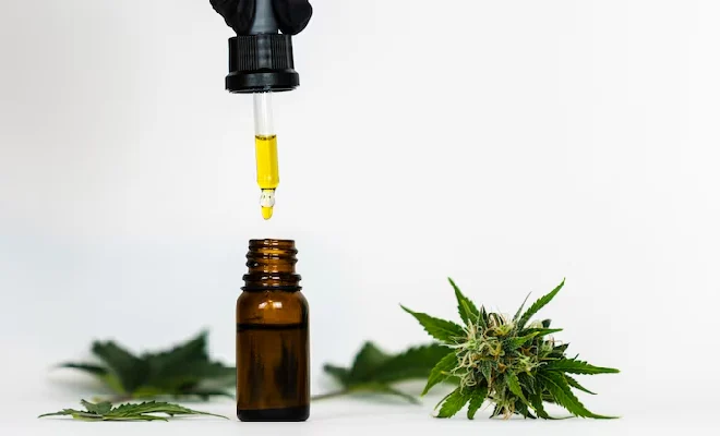Buy Pure CBD Oil: What You Need to Know Before Making a Purchase?