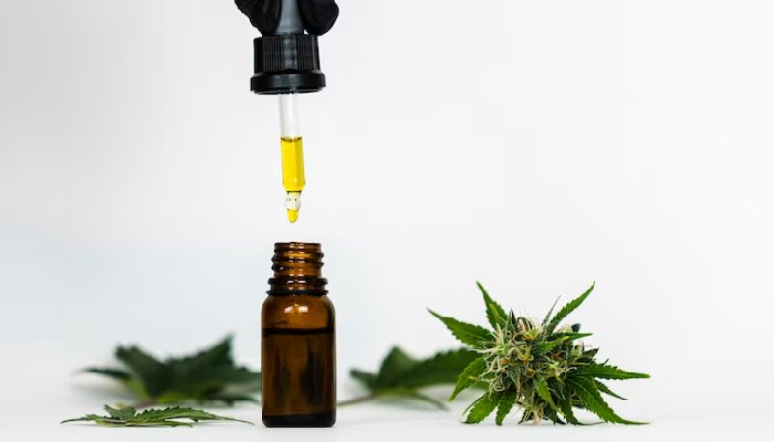 Buy Pure CBD Oil: What You Need to Know Before Making a Purchase?