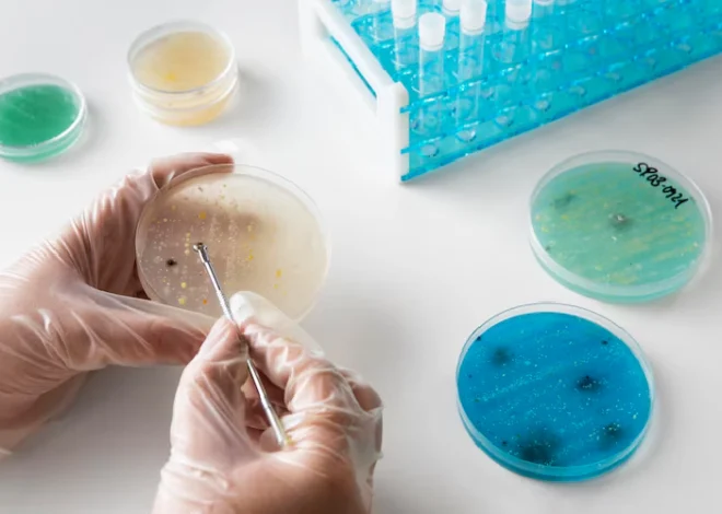 Stem Cell Banking Prices in 2025: What Are Your Options and Costs?