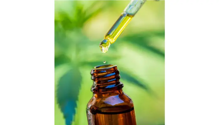Discover CBD Skin Care: Wellness Meets Beauty in 2025