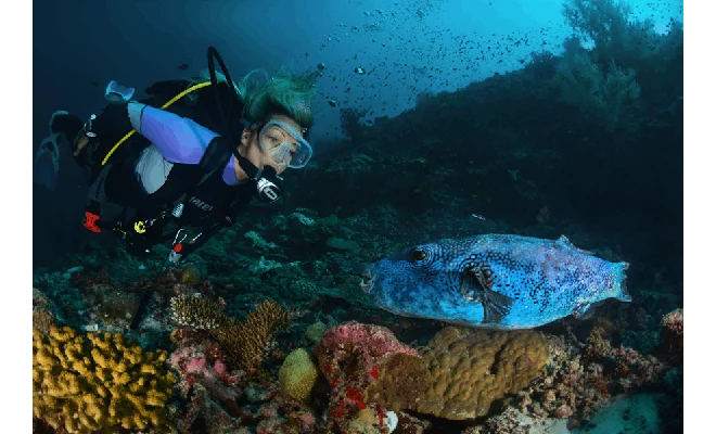 How to Stay Safe While Doing Water Sports in Maldives?