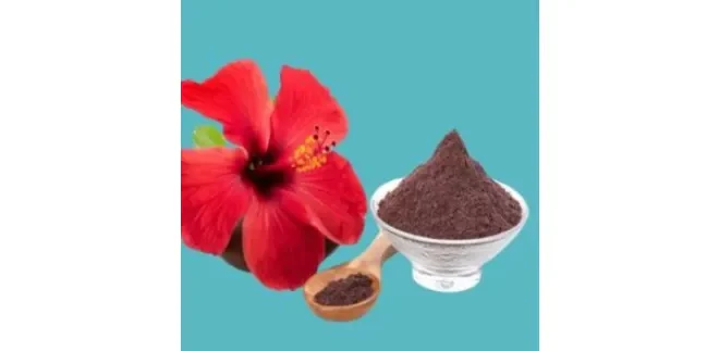 How to Market Your Herbal Powder Exports Effectively?