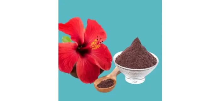 How to Market Your Herbal Powder Exports Effectively?