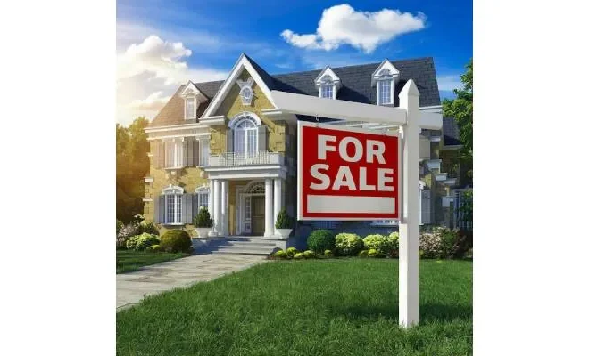 How to Prepare for Your First Luxury Home Auction in Florida?
