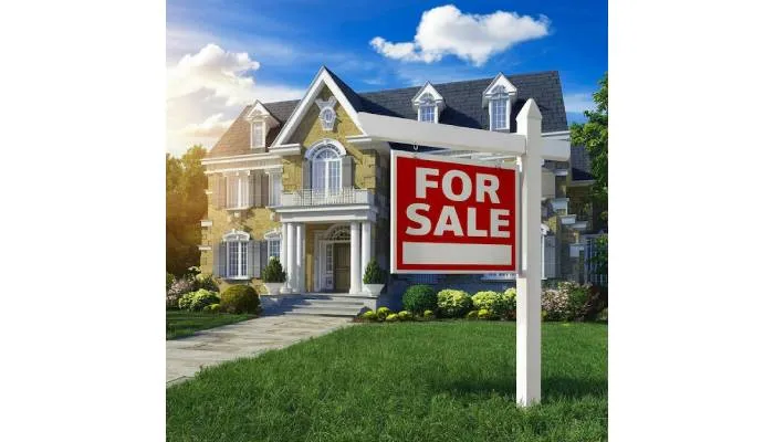 How to Prepare for Your First Luxury Home Auction in Florida?