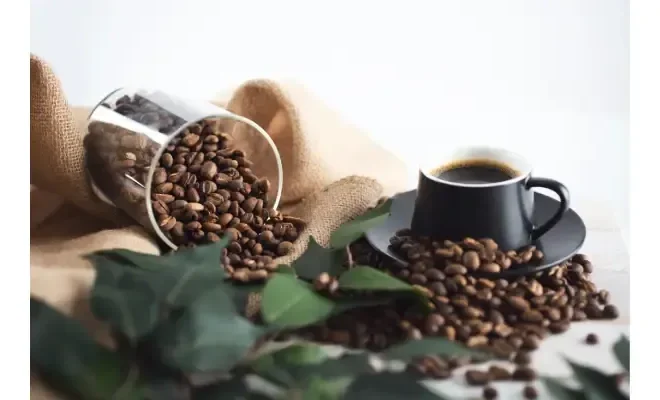 How a Monthly Coffee Subscription Can Upgrade Your Morning?