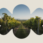 A stunning photorealistic image of a sunlit Napa Valley vineyard showcasing rows of grapevines under a clear sky, representing the essence of wine tasting in Napa Valley.