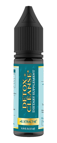 Why Liver and Kidney Health Matters More Than You Think: Exploring Ayurvedic Herbal Support for Internal Cleansing